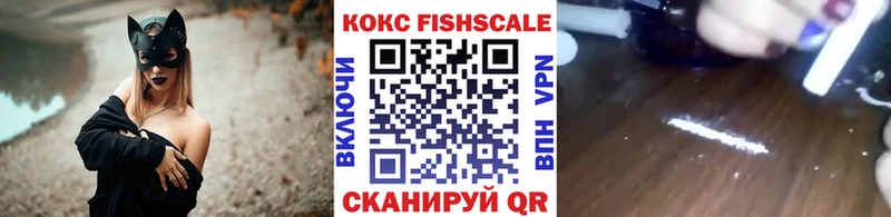 КОКАИН FishScale  Купить закладки  Ельня 