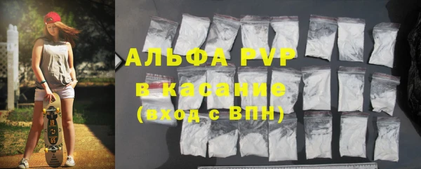 индика Ладушкин