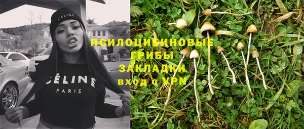 крисы Лагань