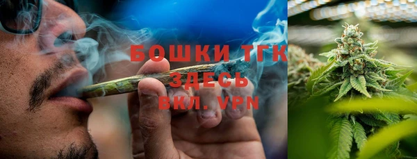 индика Ладушкин