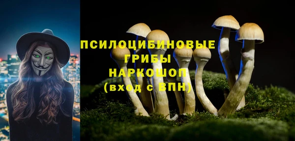крисы Лагань