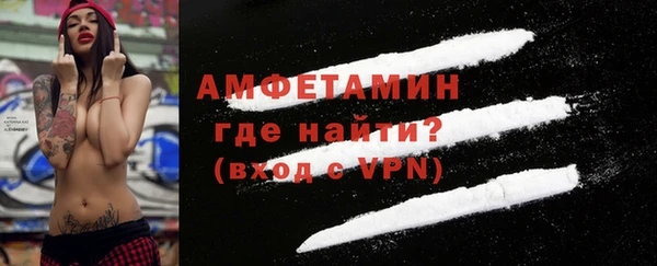 индика Ладушкин