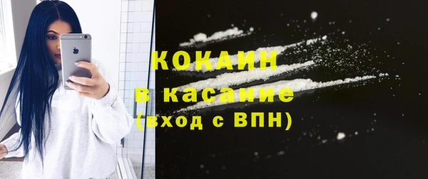 индика Ладушкин