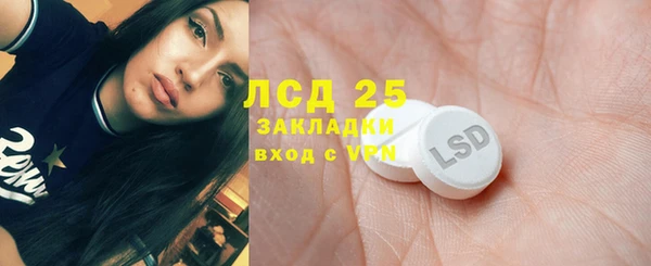 крисы Лагань