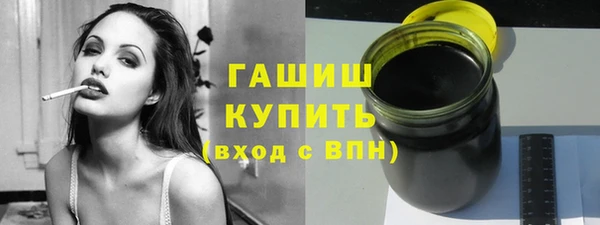 индика Ладушкин