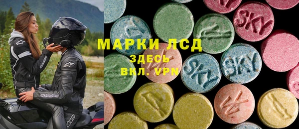 индика Ладушкин