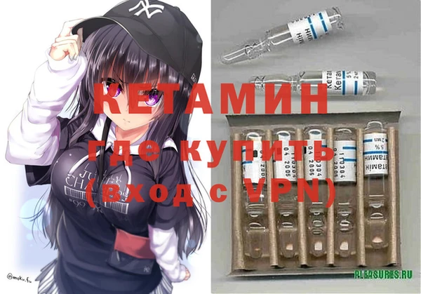 индика Ладушкин