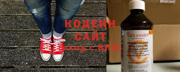индика Ладушкин