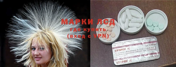 индика Ладушкин