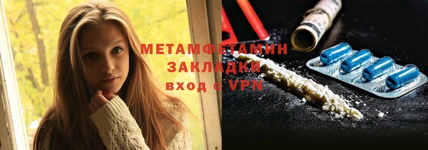 индика Ладушкин