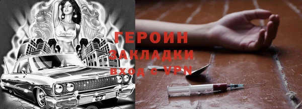 индика Ладушкин