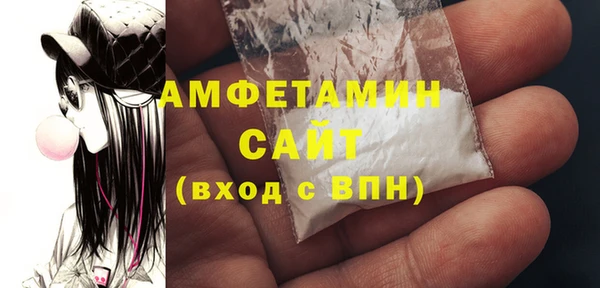индика Ладушкин