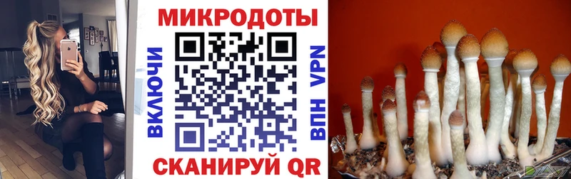 Псилоцибиновые грибы прущие грибы  Купить где  Ельня 