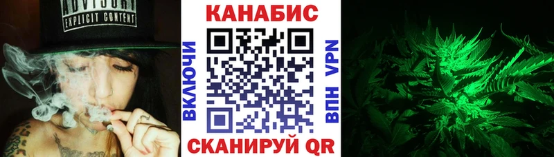 Купить закладки  Ельня  Бошки марихуана план 